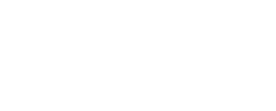 Wanderer Logo